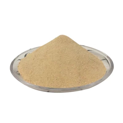 Add Depth And Flavor To Your Product With Our BBQ Seasoning Powder