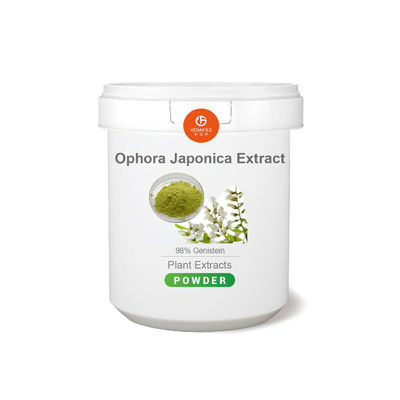 Enhancing Taste Of Dishes Savoury Flavour Seasoning Origin Essential Ingredient For Food Production And Culinary Experts